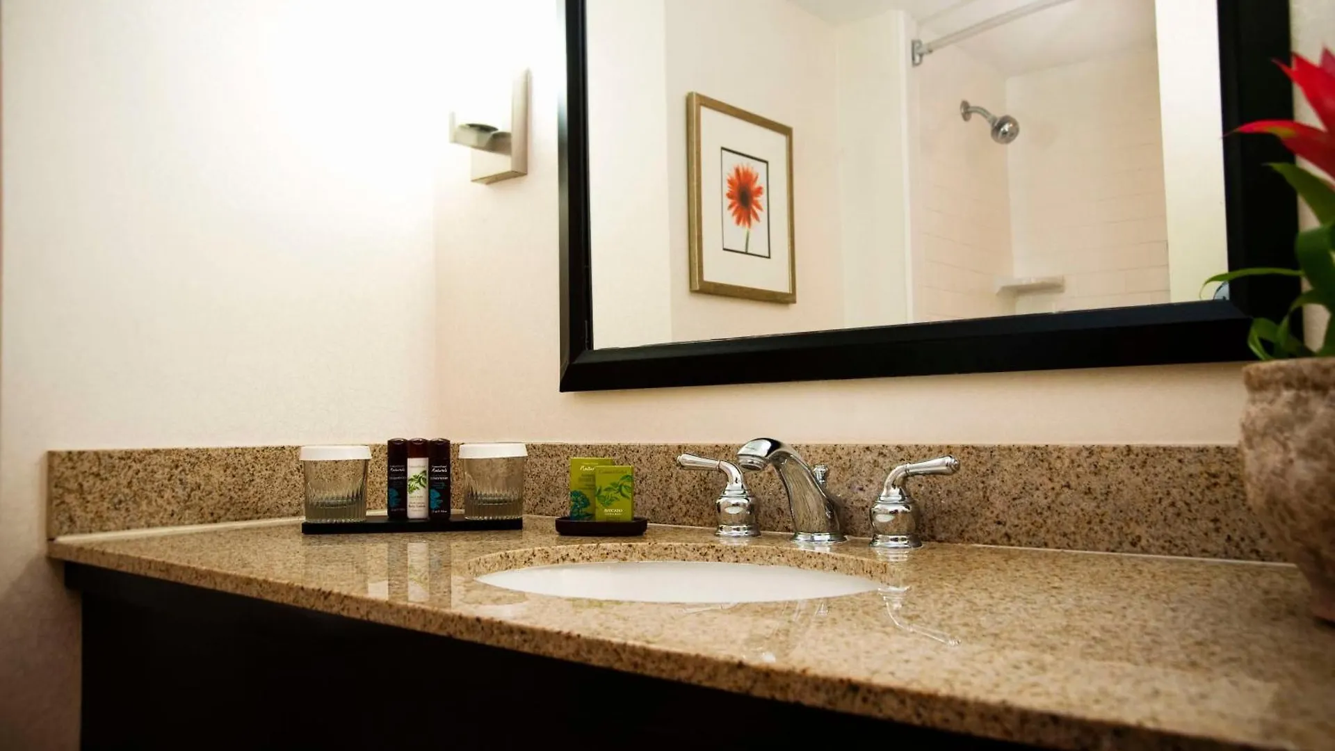Embassy Suites By Hilton Memphis East Germantown Area Hotel